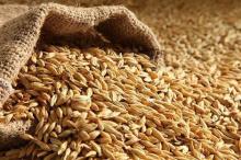 The sea export of grain from Ukraine again reaches high indicators